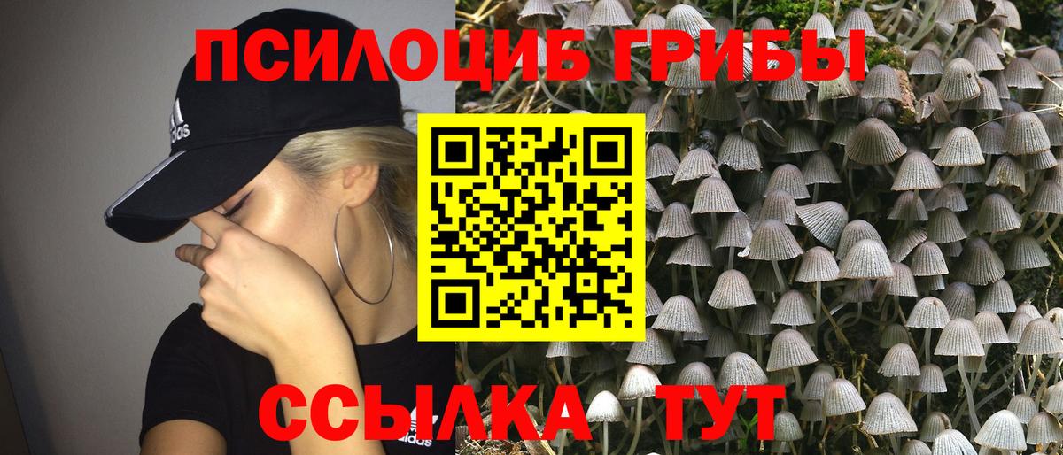 где купить   Галлюциногенные грибы MAGIC MUSHROOMS  Вход с VPN  Медногорск 